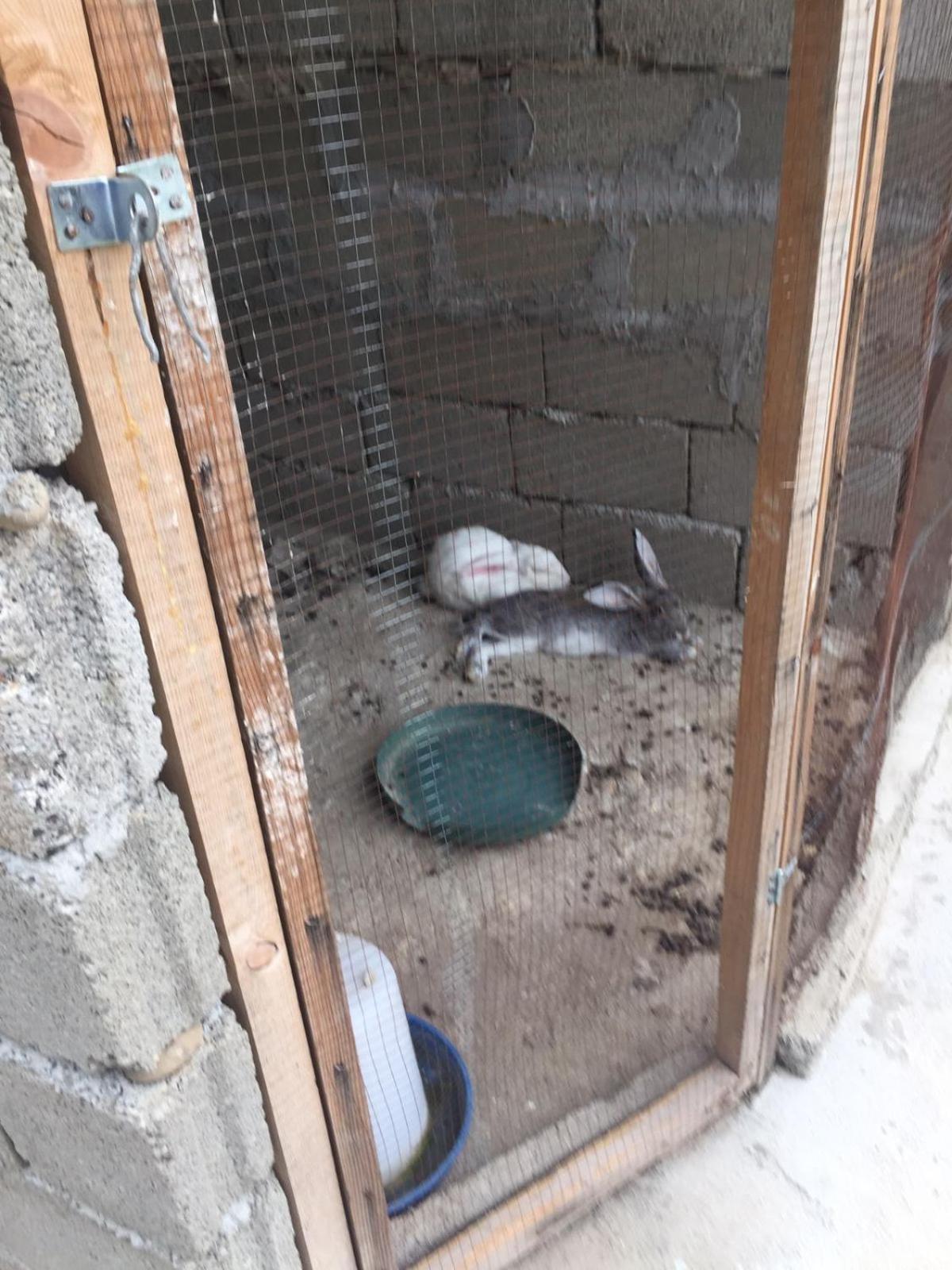Mera Hostel Partskhanaqanevi Kültér fotó