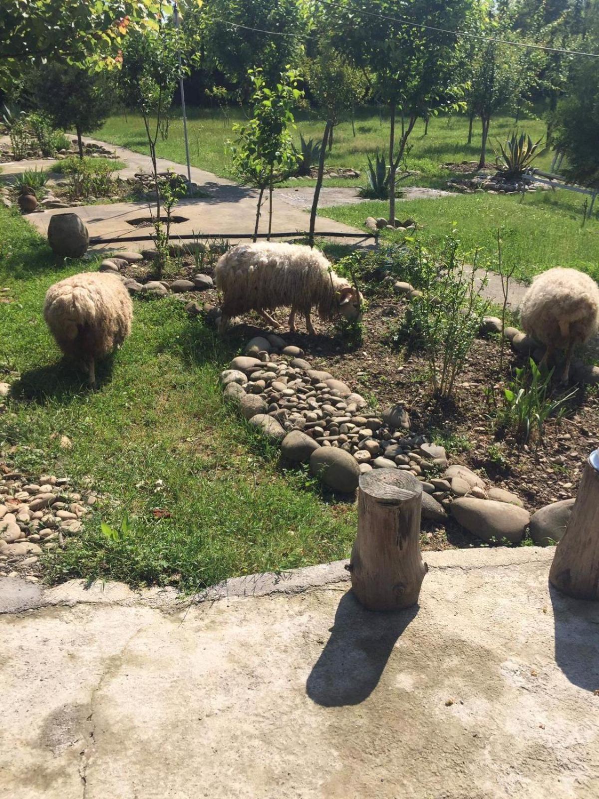 Mera Hostel Partskhanaqanevi Kültér fotó